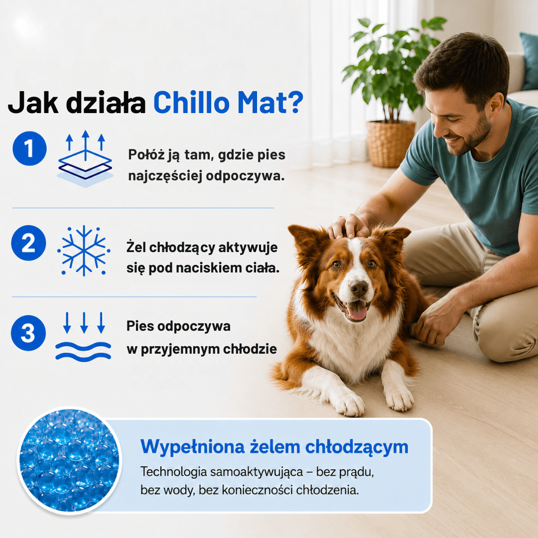 Chillo Mat - Samochłodząca Mata dla Psa 90 × 50 cm | Ulga podczas upalnych dni