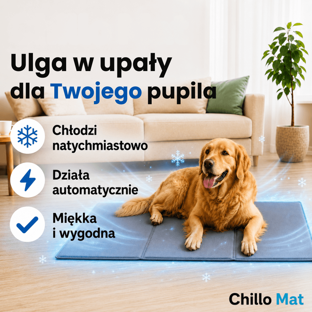 Chillo Mat - Samochłodząca Mata dla Psa 90 × 50 cm | Ulga podczas upalnych dni